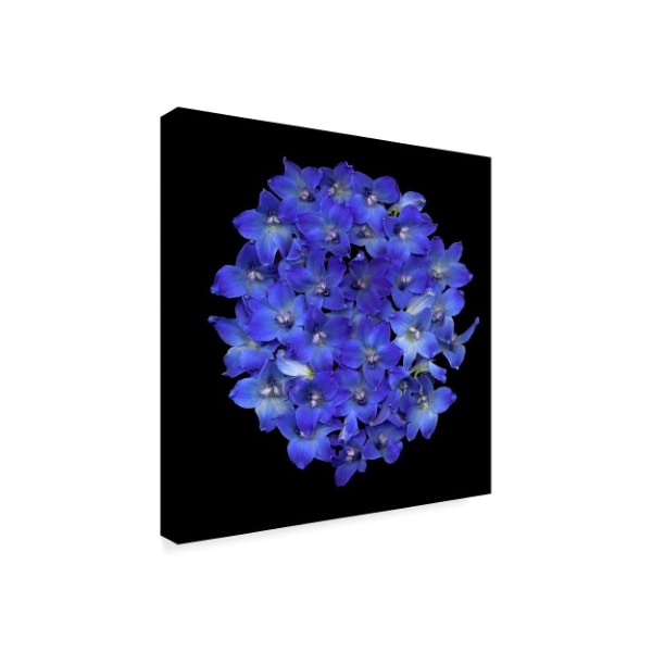 Susan S. Barmon 'Blue Delphinium' Canvas Art,18x18